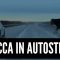 Mucca impazzita invade l’autostrada: video incredibile