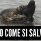 Privato: [ID: HmuwYn23Ztw] Youtube Automatic