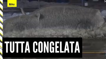 Privato: [ID: JBZt3_QJ_xM] Youtube Automatic