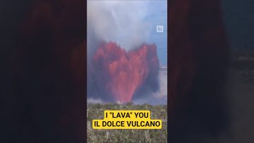 Privato: [ID: ypTFXJ7tRlU] Youtube Automatic
